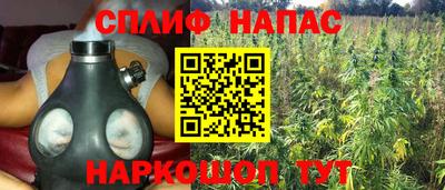 сатива Севастополь