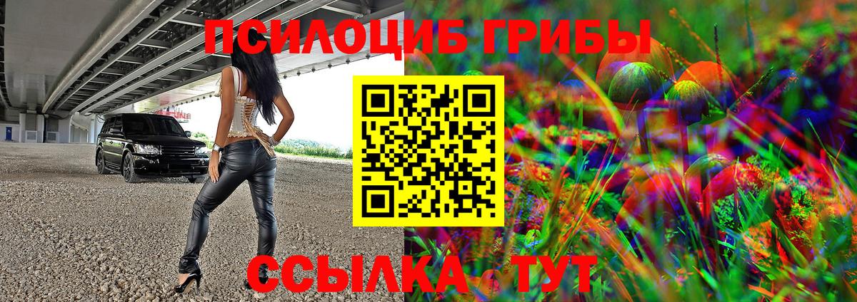 Похвистнево  где найти наркотики  Вход с VPN  Галлюциногенные грибы GOLDEN TEACHER 